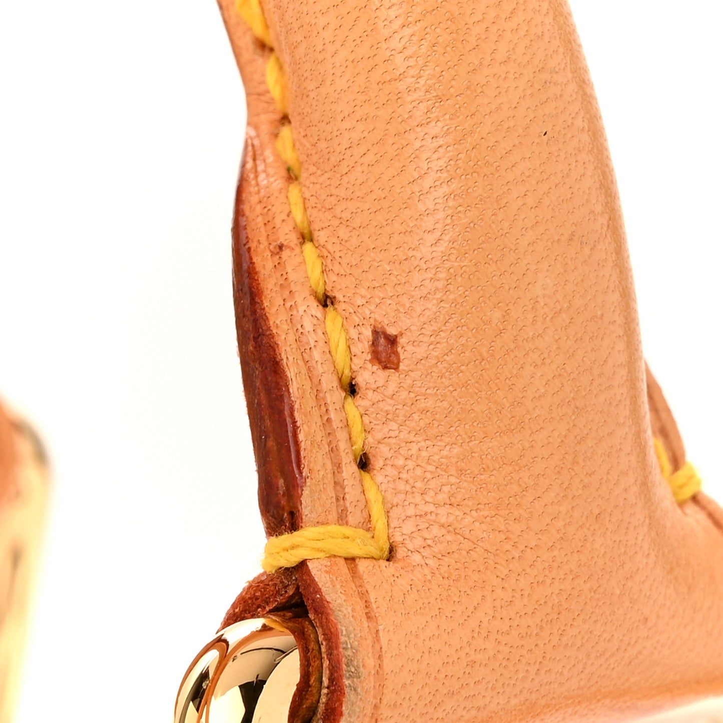 Monogram Multicolor Speedy 30 White