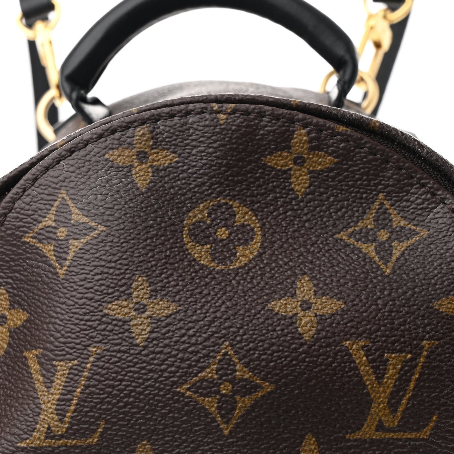 Monogram Palm Springs Backpack Mini