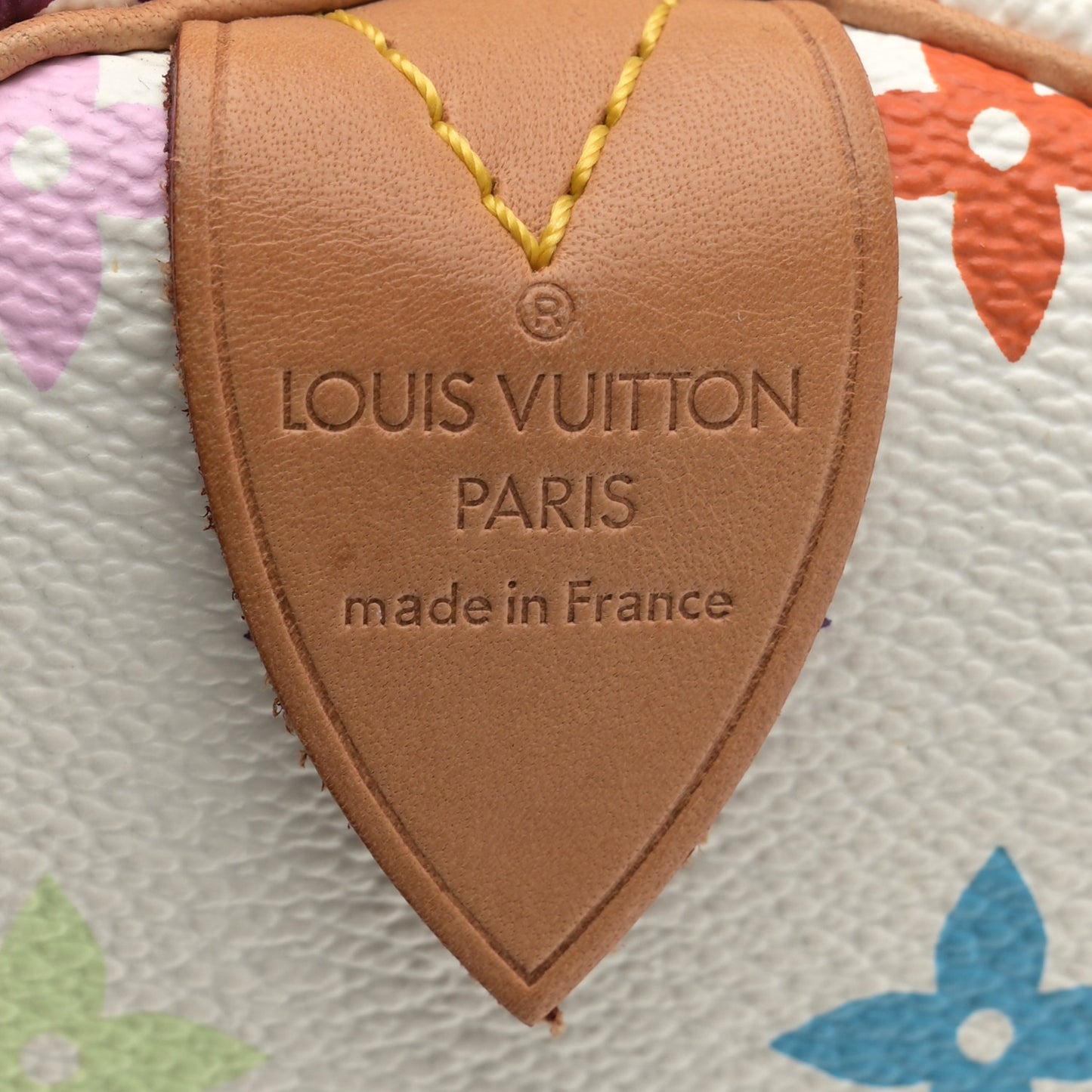 Monogram Multicolor Speedy 30 White