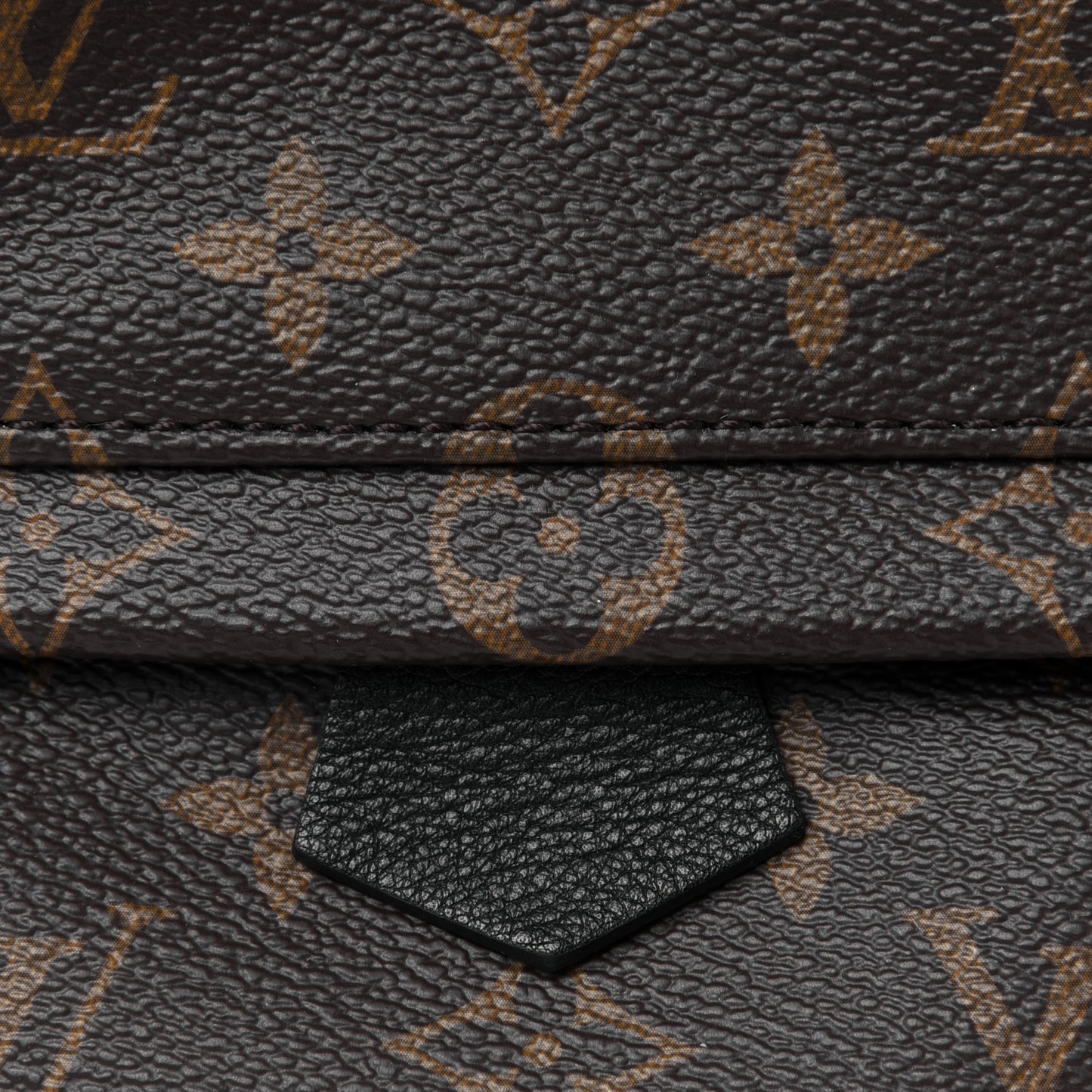 Monogram Palm Springs Backpack Mini