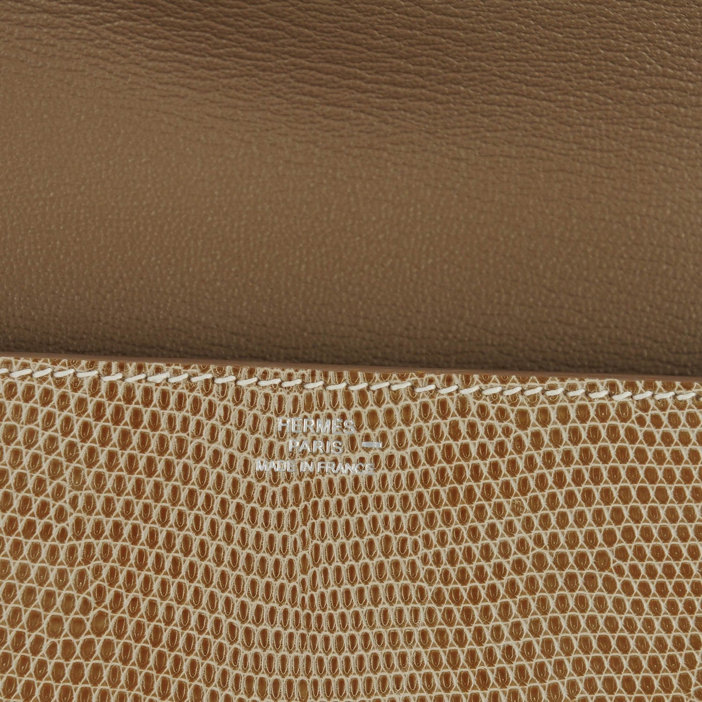 Lizard Niloticus Medor Clutch 23
