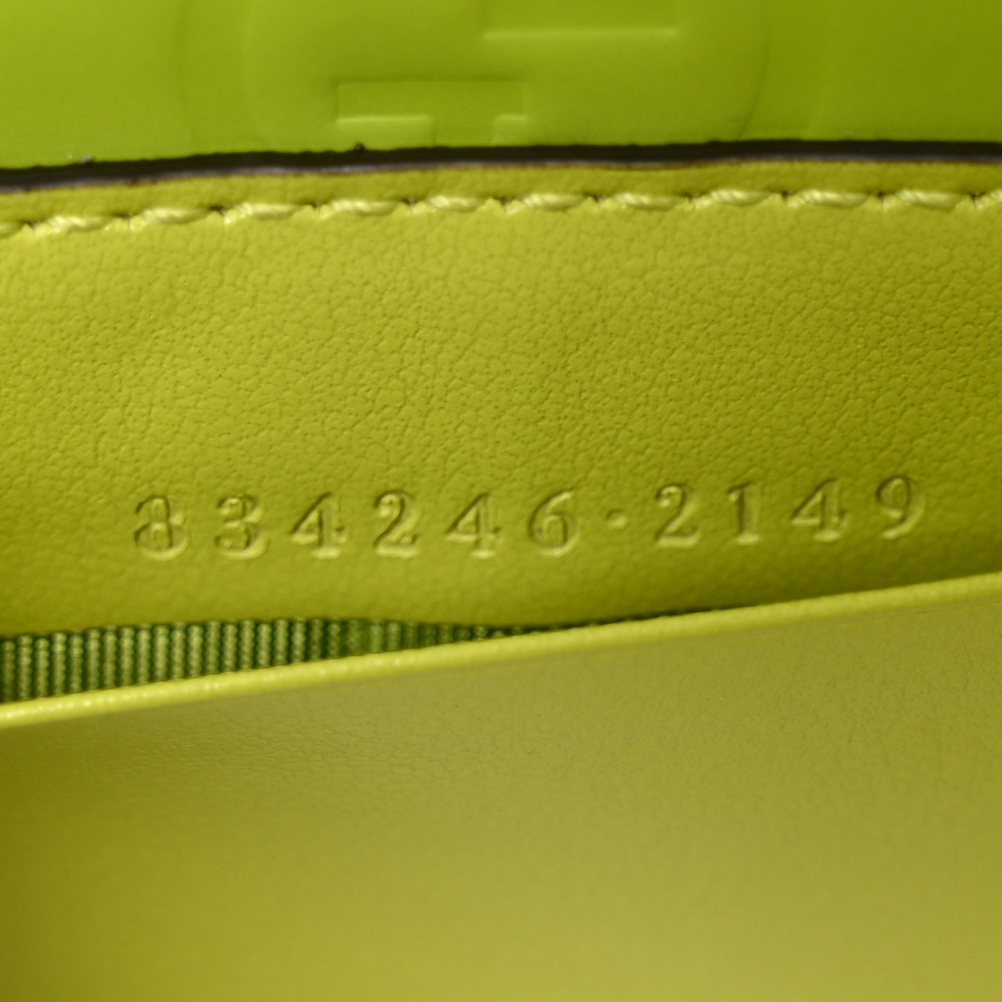Rubber Effect Monogram GG Crossbody Bag Firefly