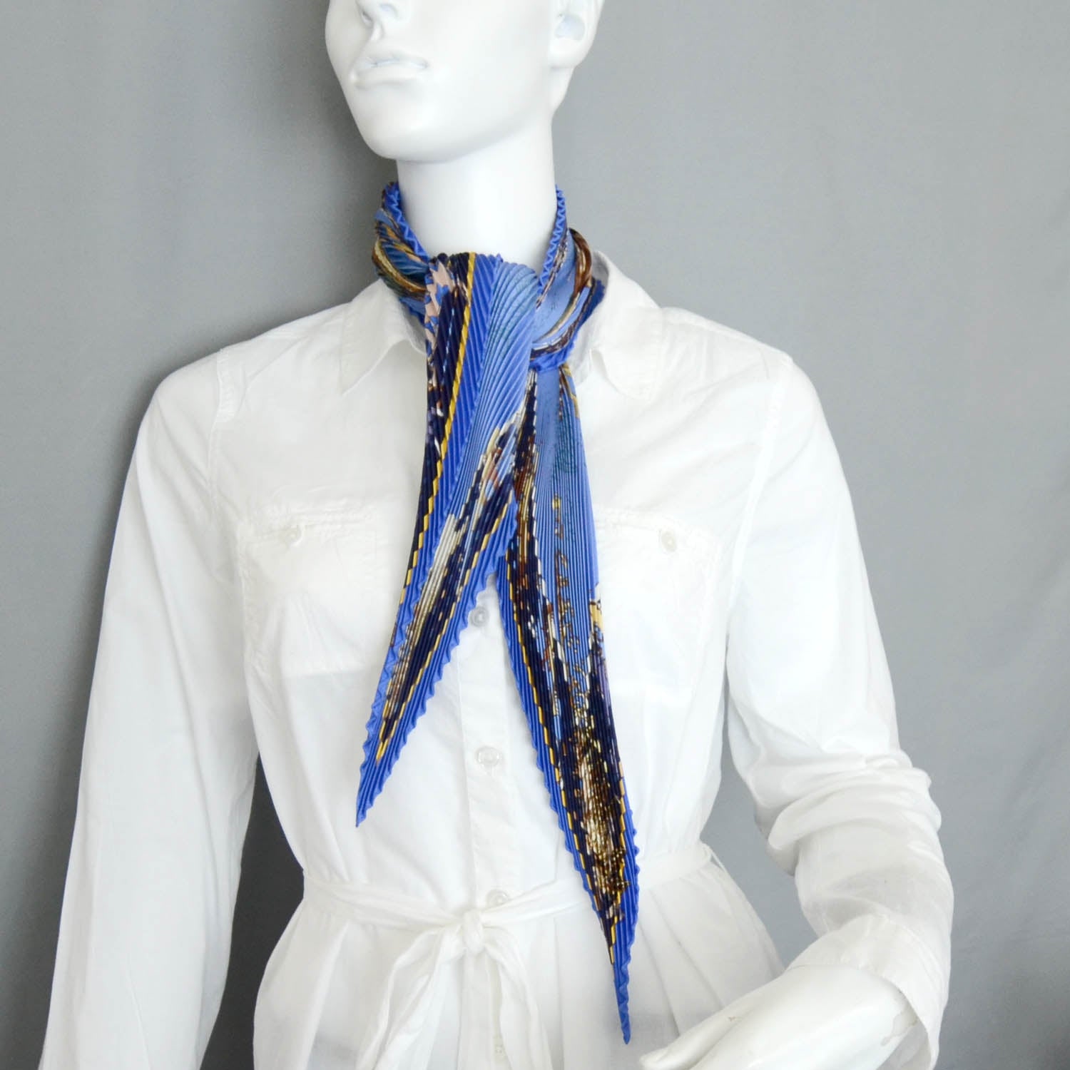 Hermes Silk Plisse Pani La Shar Pawnee Scarf 2 of 5