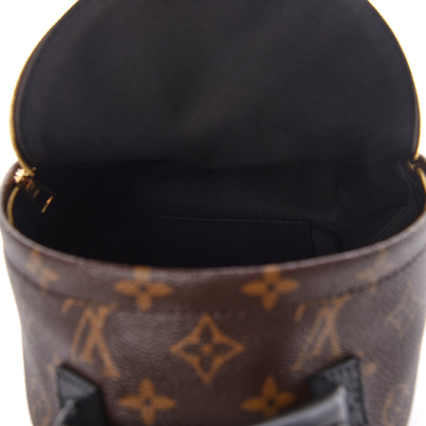 Monogram Palm Springs Backpack Mini