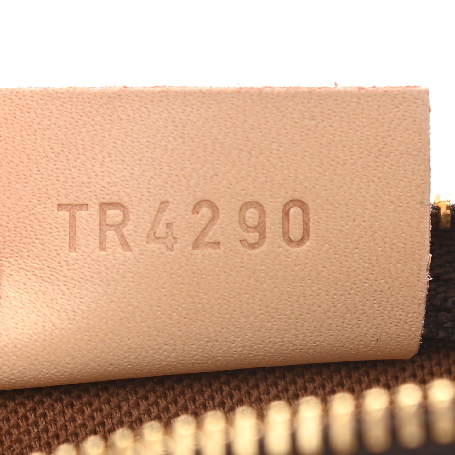 Monogram Nano Speedy