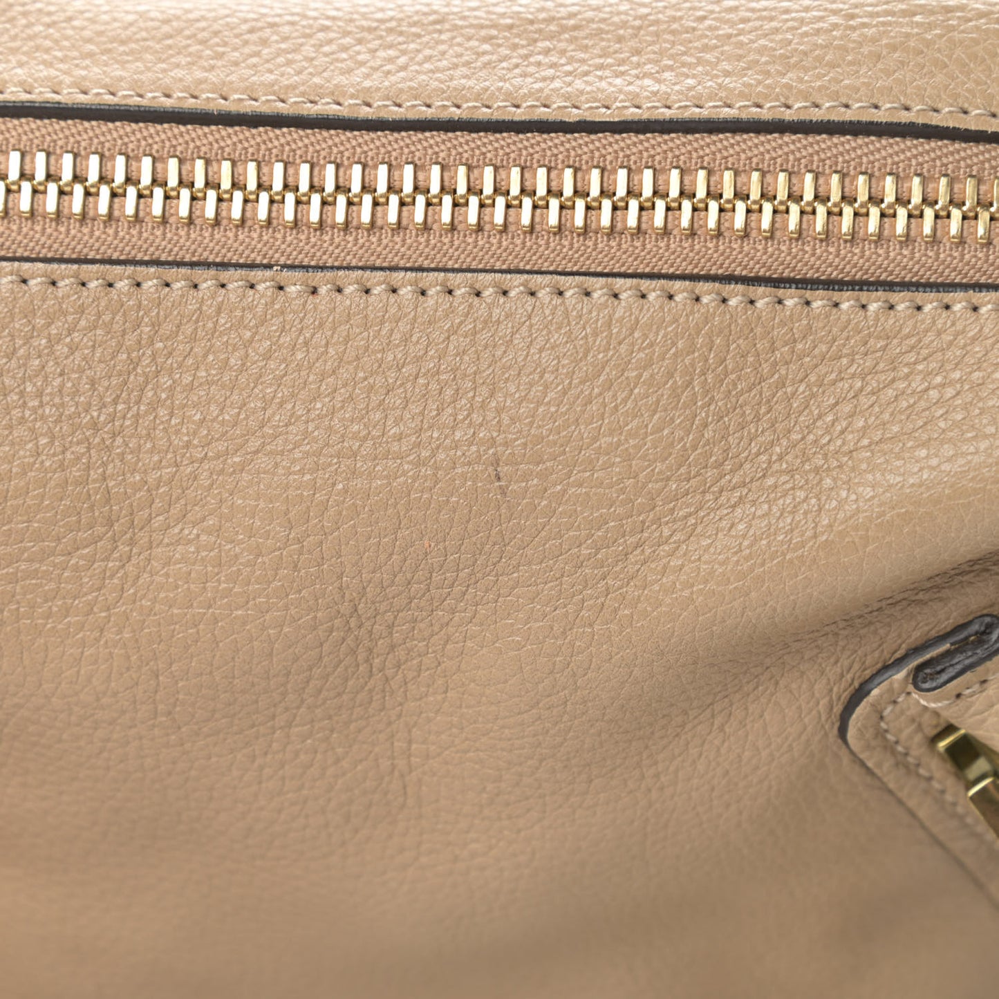Calfskin Medium Paraty Dove