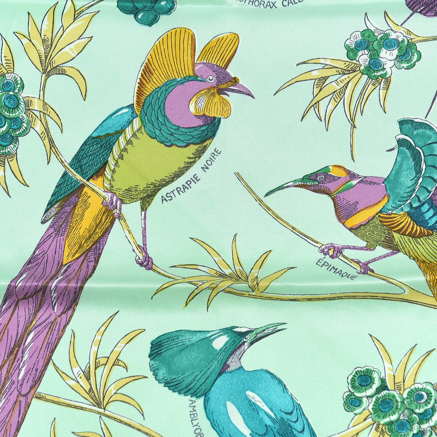 Silk Vintage Les Oiseaux Des Iles Scarf 70 Jade Jaune Violet