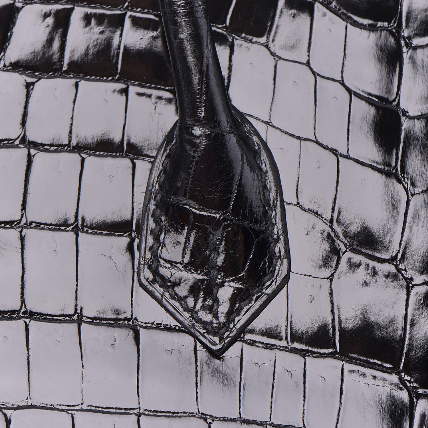 Hermes Shiny Niloticus Crocodile Birkin 25 Black 10 of 37
