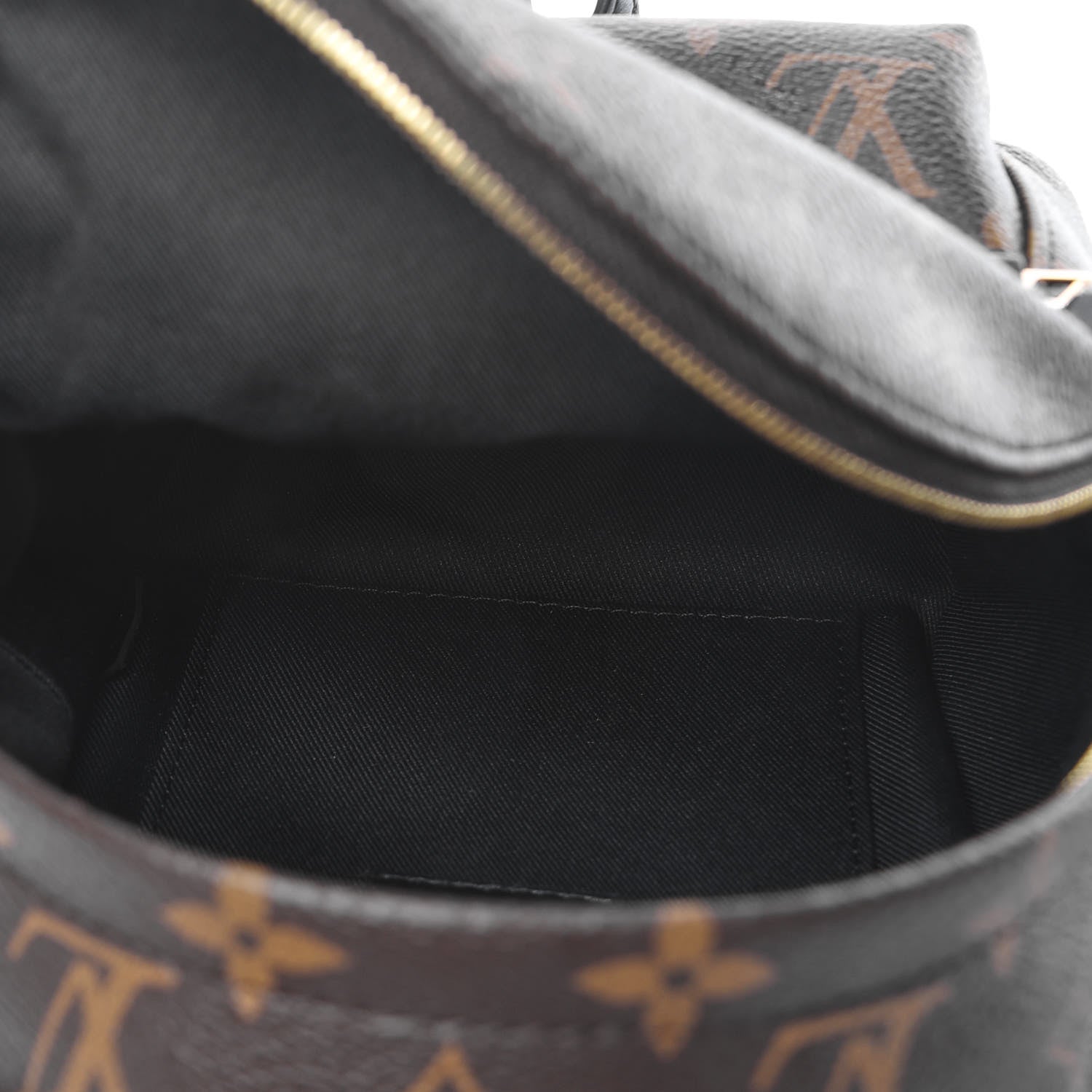 Louis Vuitton Monogram Palm Springs Backpack Mini 5 of 7