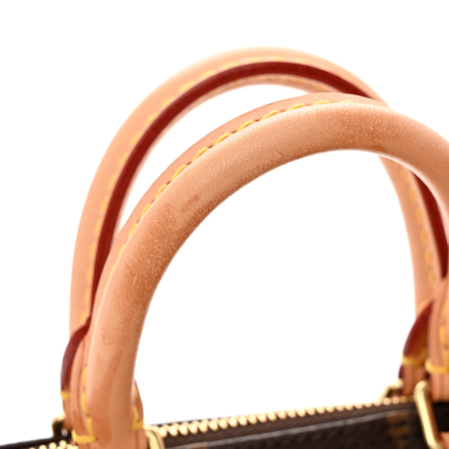 Monogram Nano Speedy