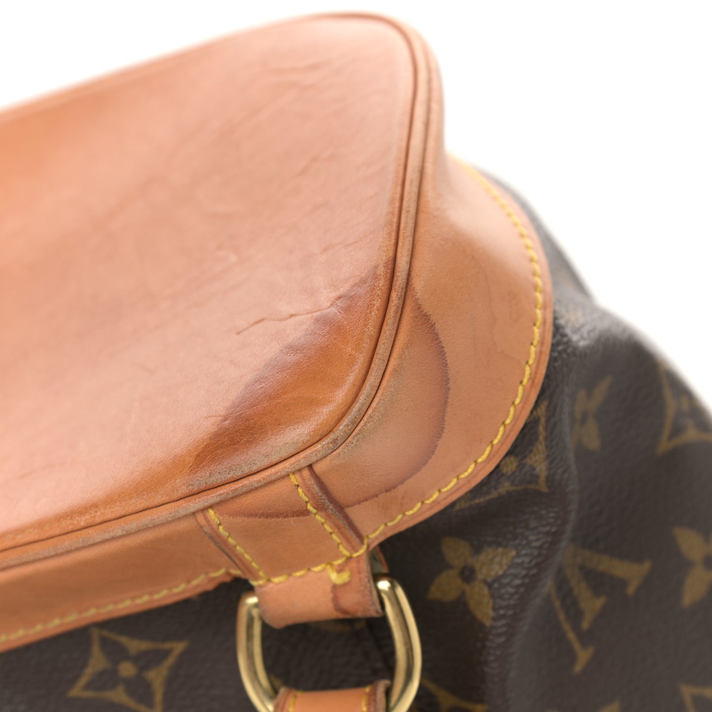 Monogram Montsouris GM Backpack