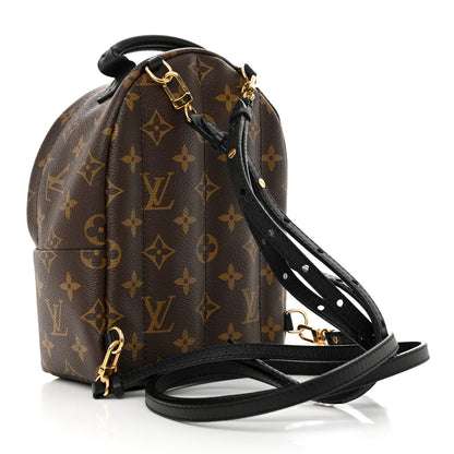 Louis Vuitton Monogram Palm Springs Backpack Mini 3 of 14