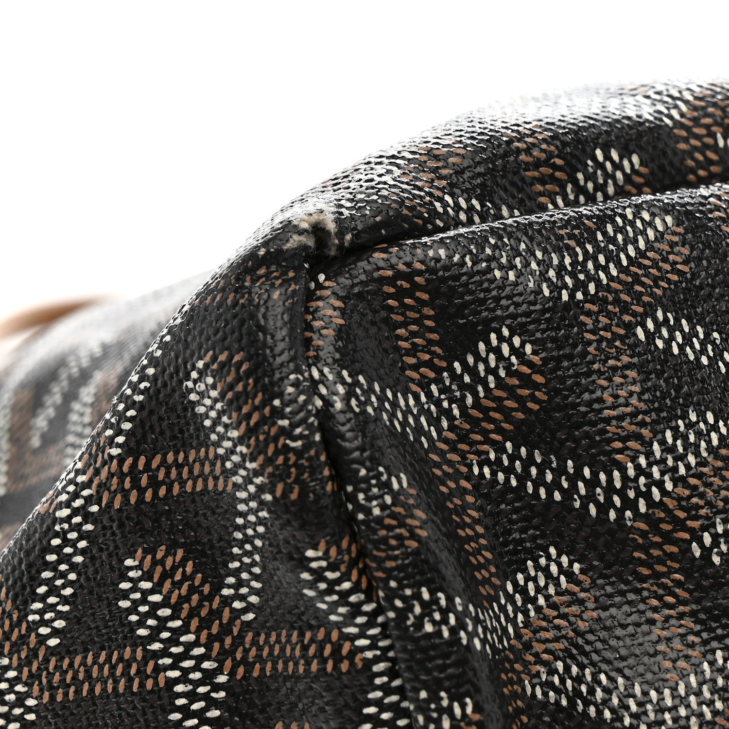Goyard Goyardine Saint Louis PM Black Gold 19 of 22