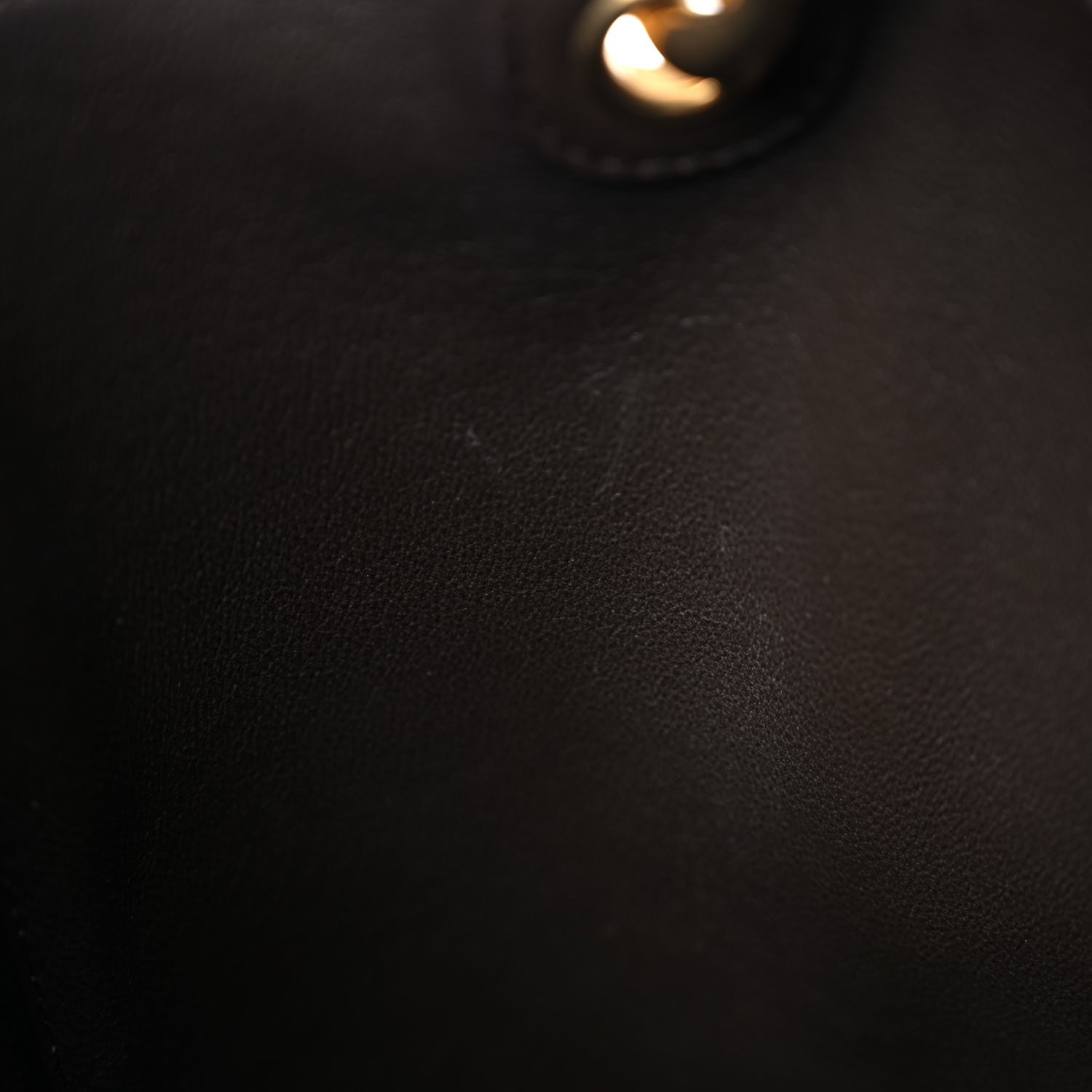 Celine Supersoft Calfskin Sangle Bucket Bag Wood 12 of 24