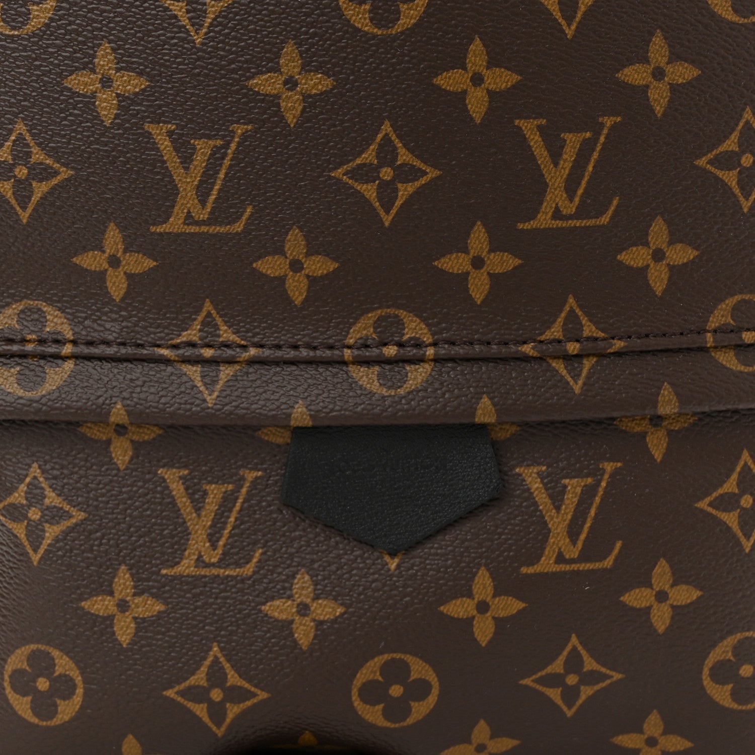Louis Vuitton Monogram Palm Springs Backpack MM 7 of 9