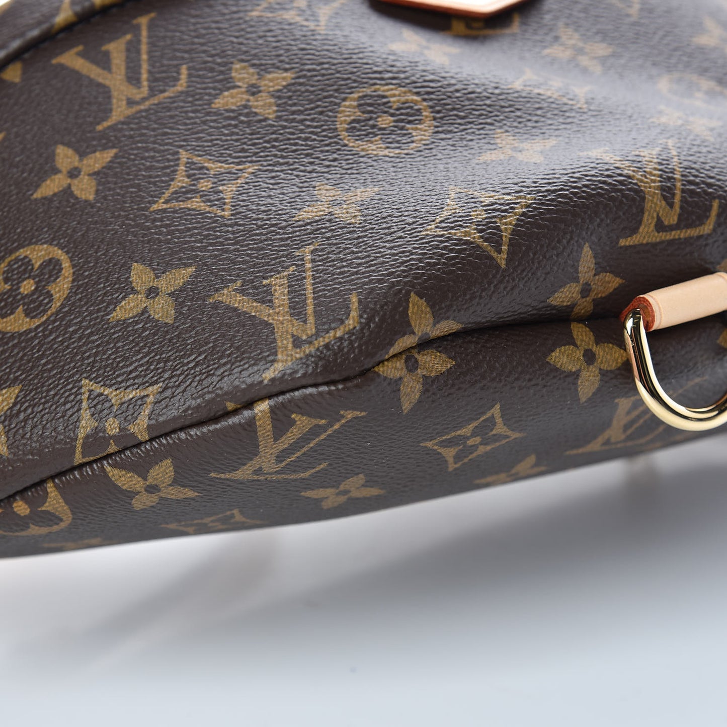 Monogram Bumbag