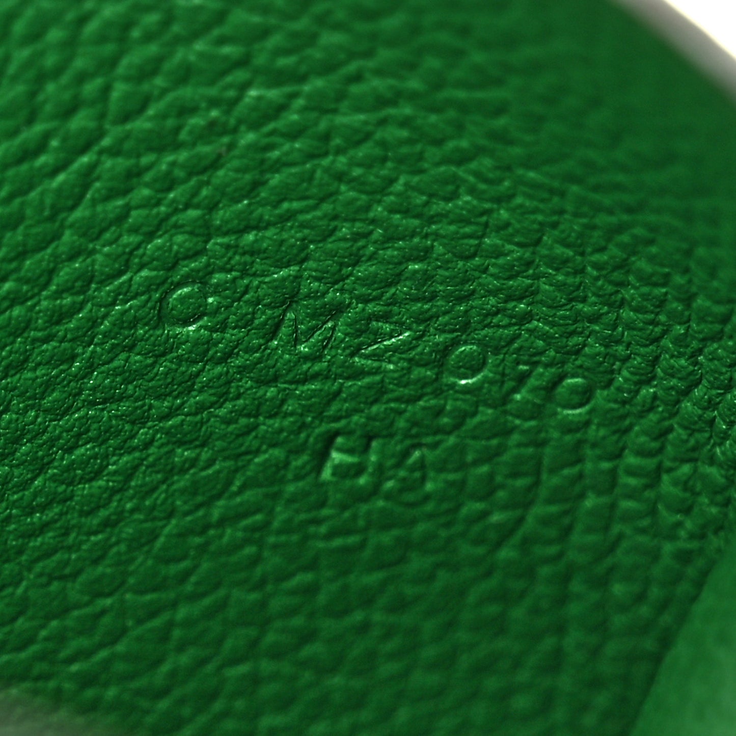 Evercolor Calvi Card Case Vert Vertigo