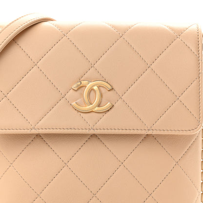 Chanel Calfskin Quilted Pearl Small Hobo Bag Beige 8 of 11
