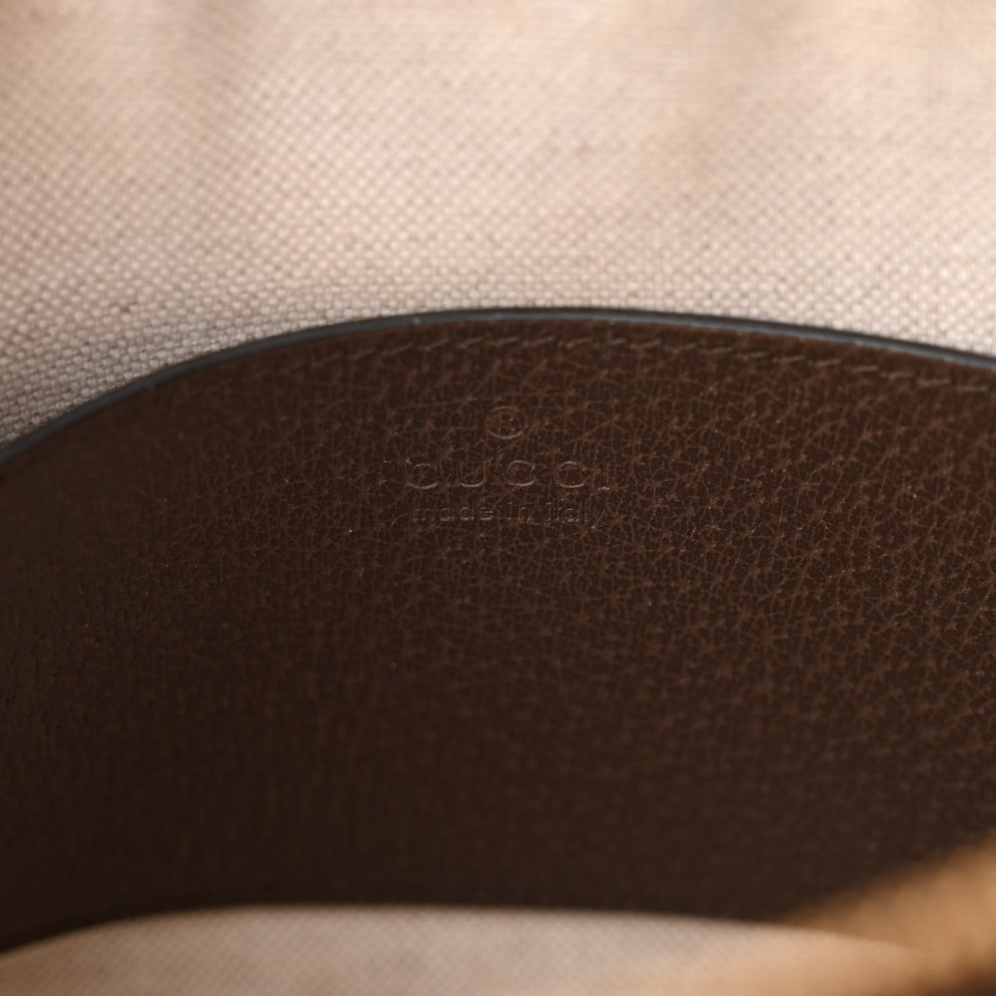 Monogram Jumbo GG Textured Dollar Calfskin Web Small Ophidia Dome Shoulder Bag Camel Ebony New Acero