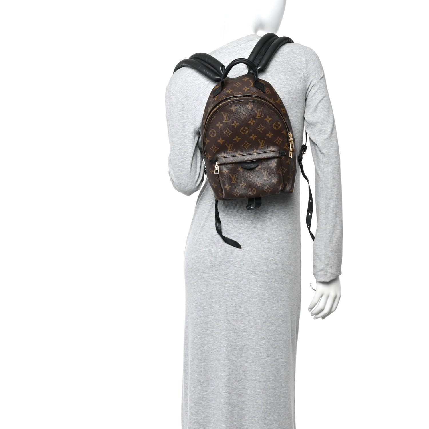 Louis Vuitton Monogram Palm Springs Backpack PM 2 of 12
