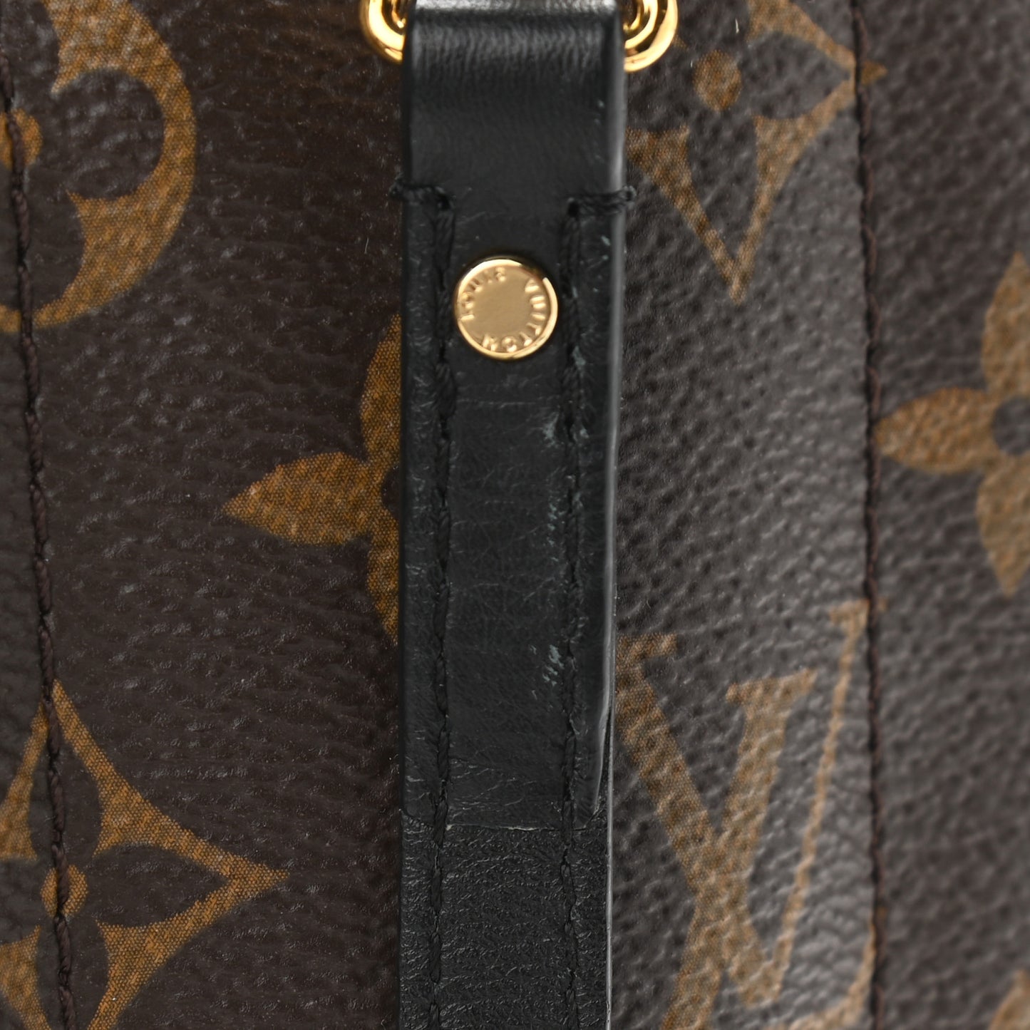 Monogram Palm Springs Backpack Mini