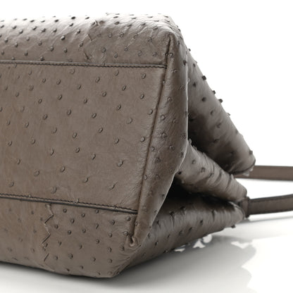 Bottega Veneta Ostrich Small Roma Tote Brown 11 of 12