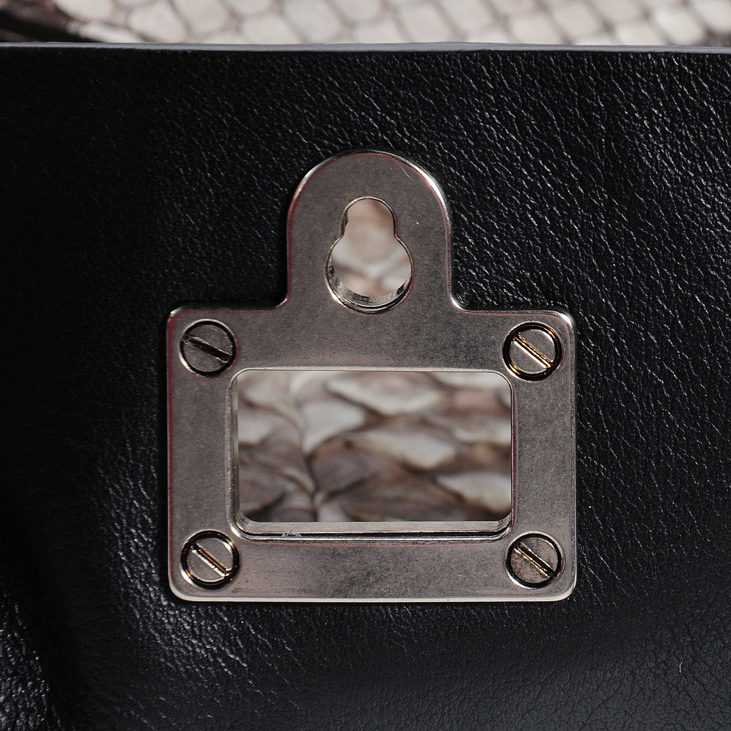 Proenza Schouler Python Large Courier Roccia 10 of 12