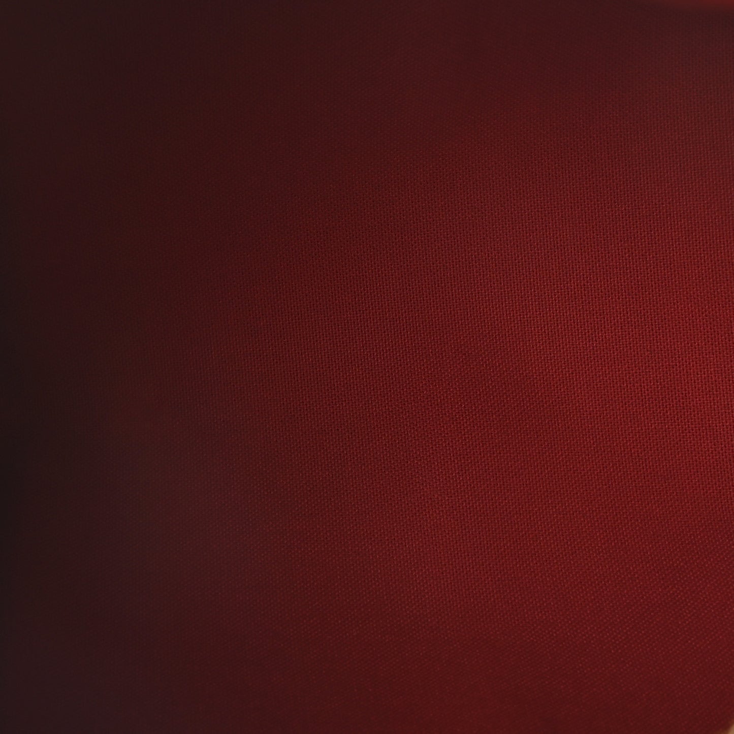 Damier Ebene Speedy 25