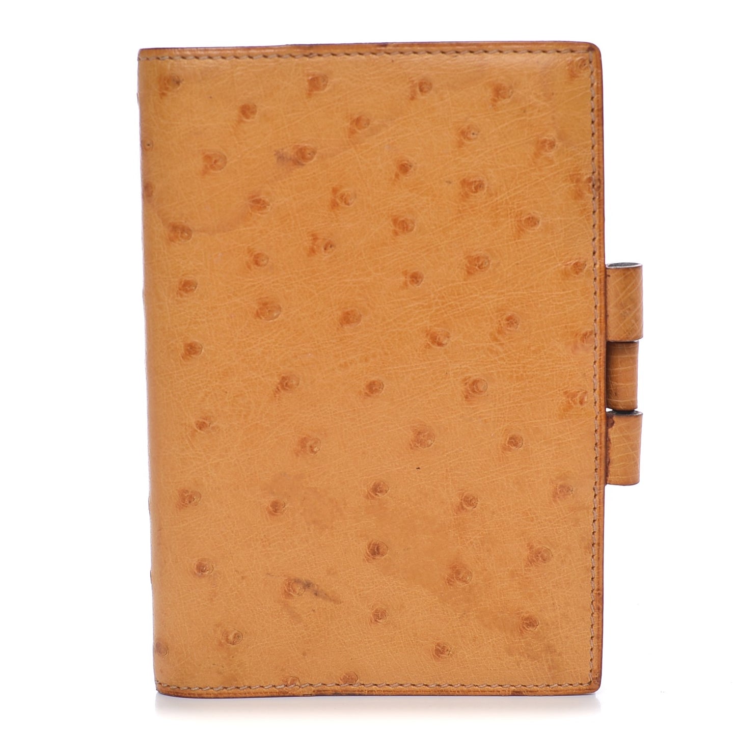 Ostrich Vision Agenda Cover PM Gold