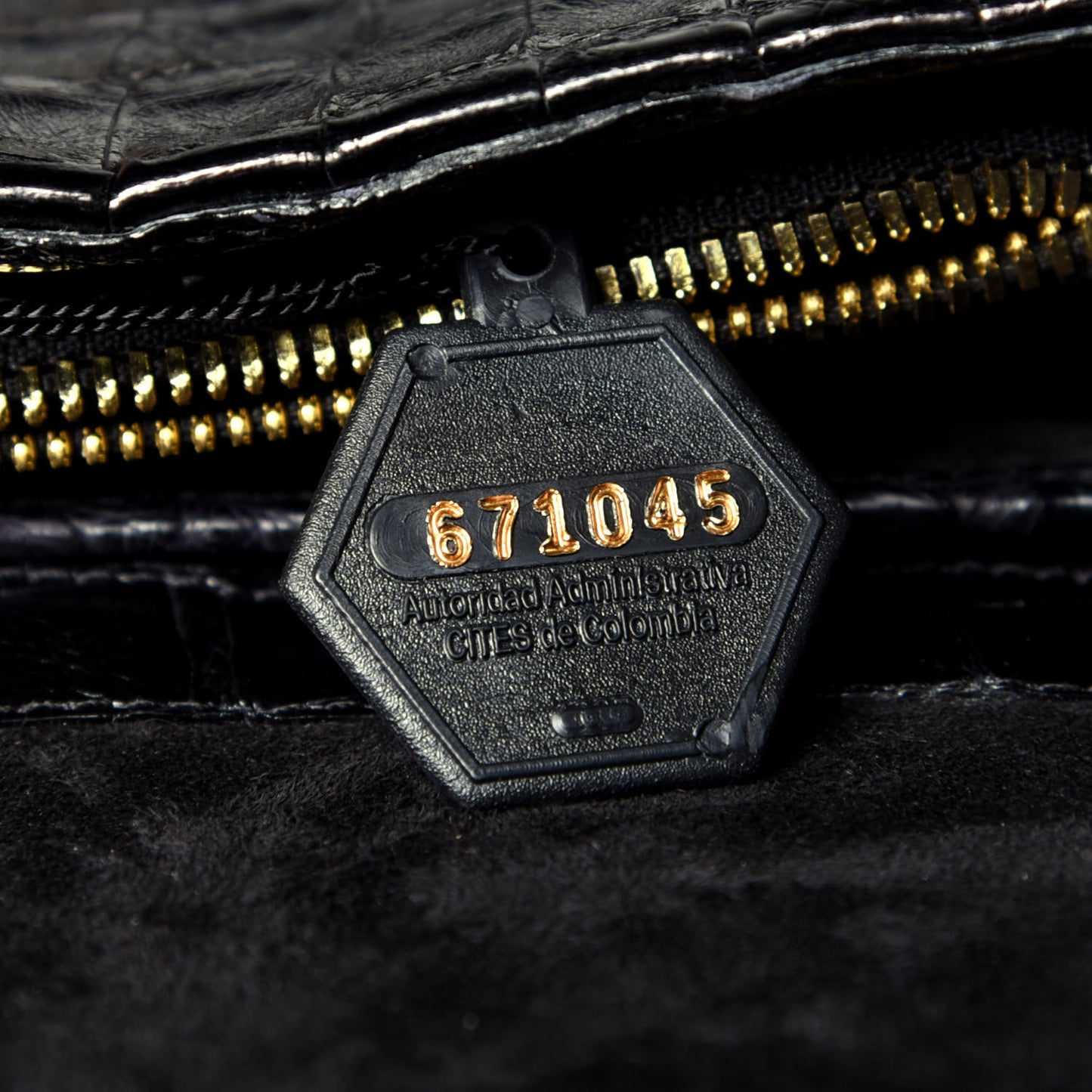 Crocodile Crossbody Black