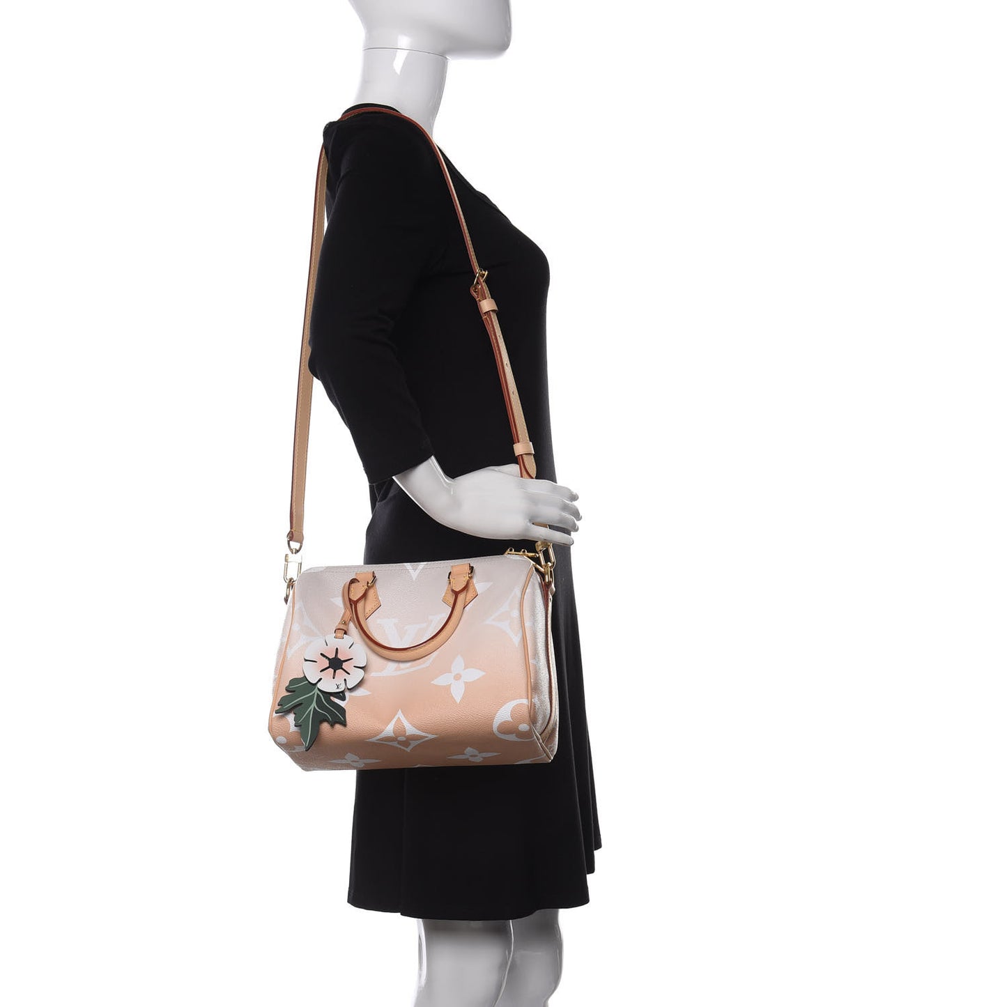 Monogram Giant By The Pool Speedy Bandouliere 25 Brume