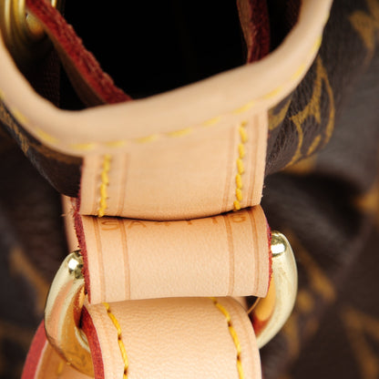 Louis Vuitton Monogram Petit Noe NM 8 of 8