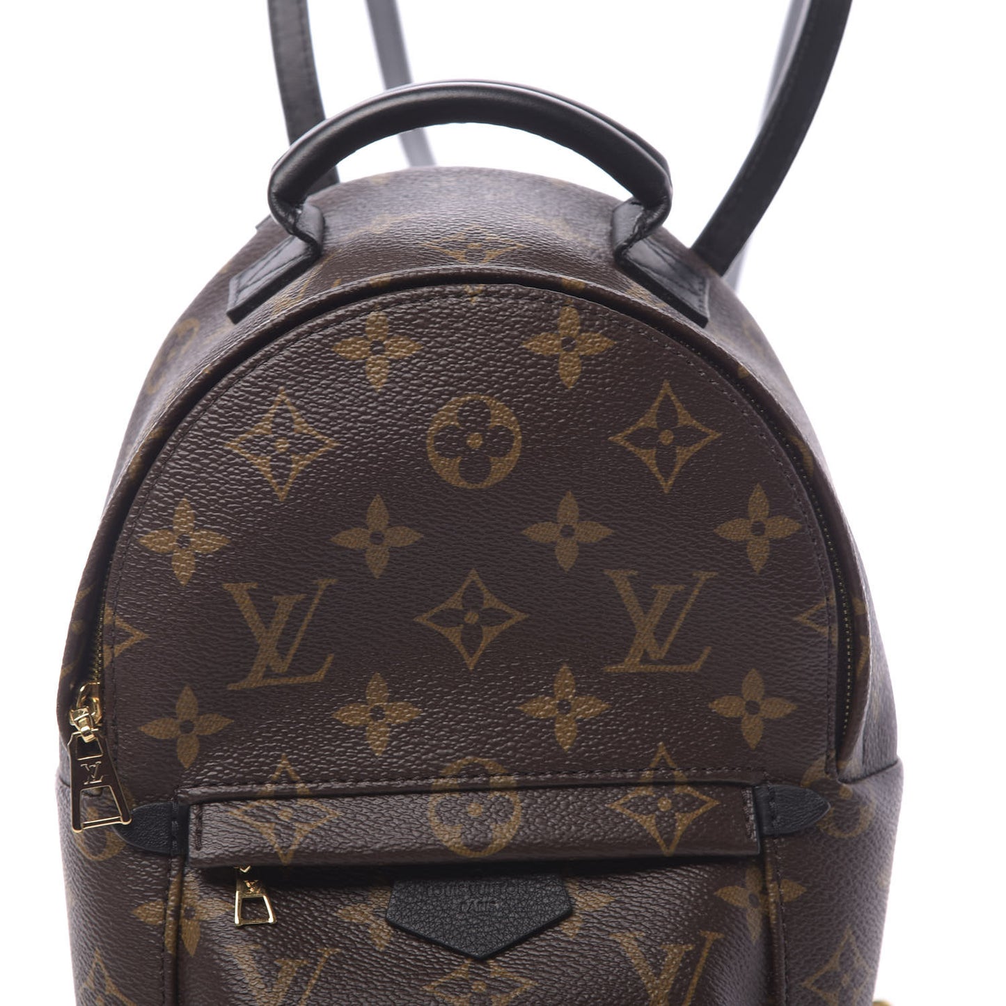 Monogram Palm Springs Backpack Mini