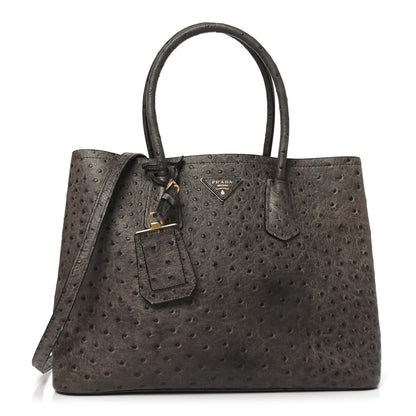 Prada Ostrich Double Bag Grey 1 of 9