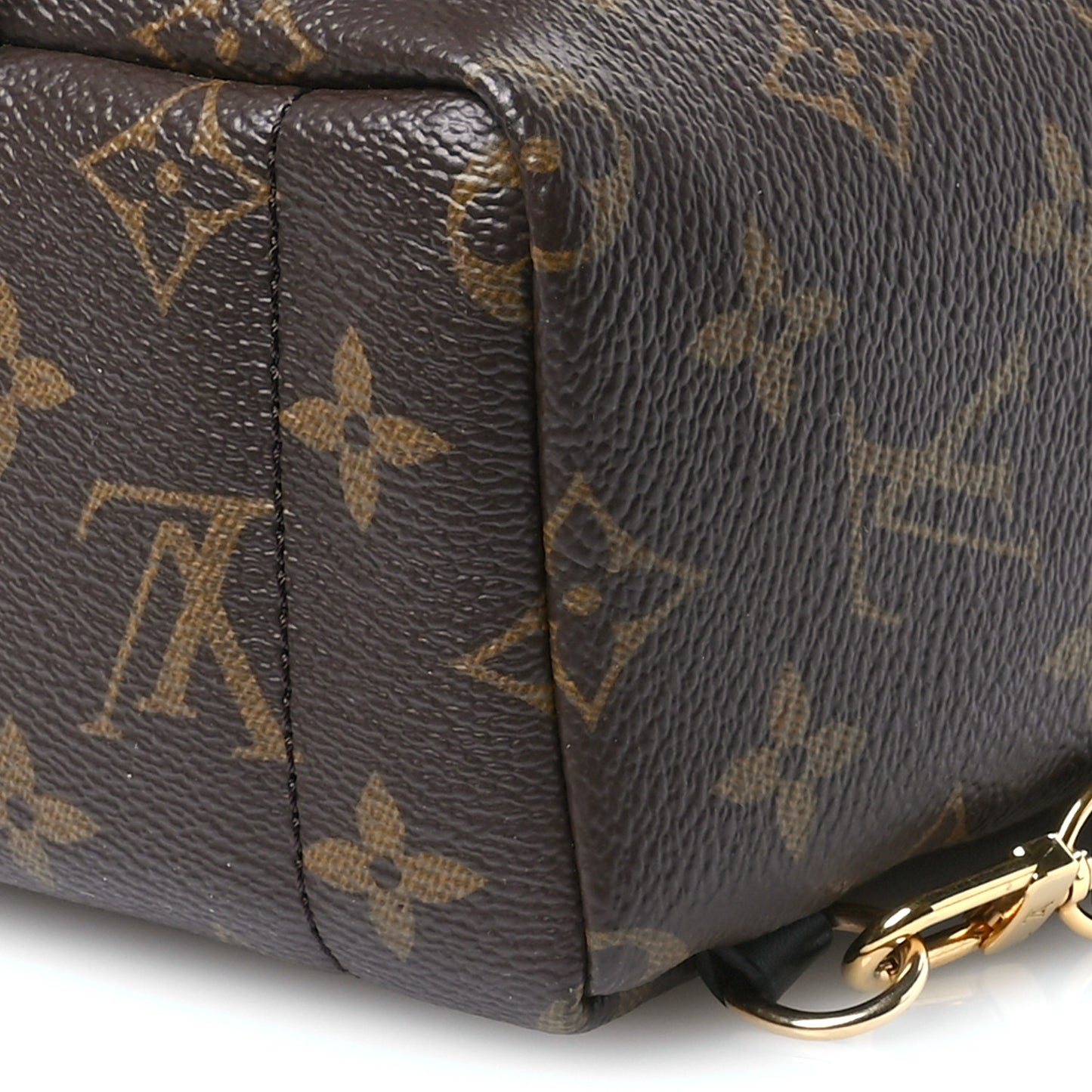 Monogram Palm Springs Backpack Mini