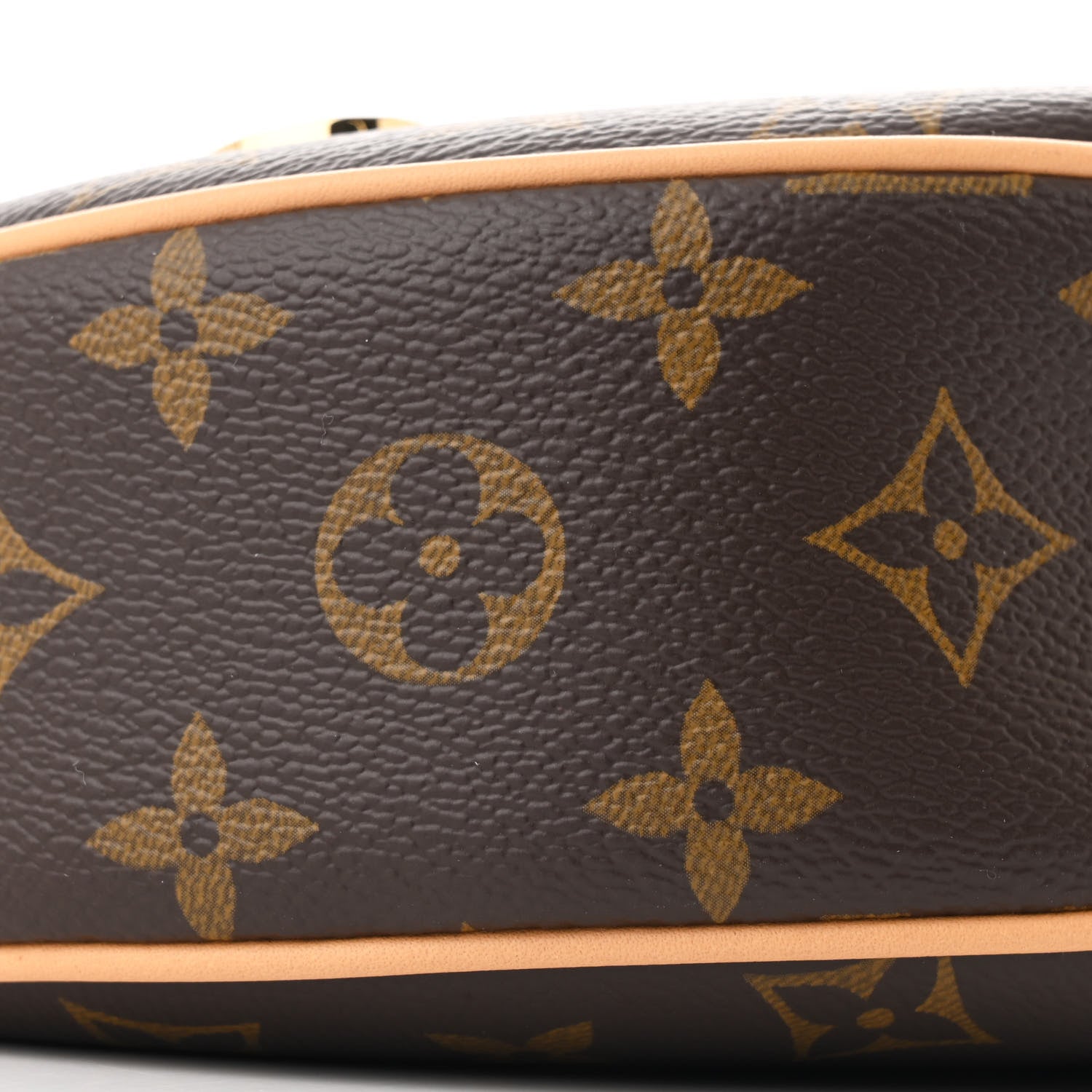 Louis Vuitton Monogram Loop 8 of 9