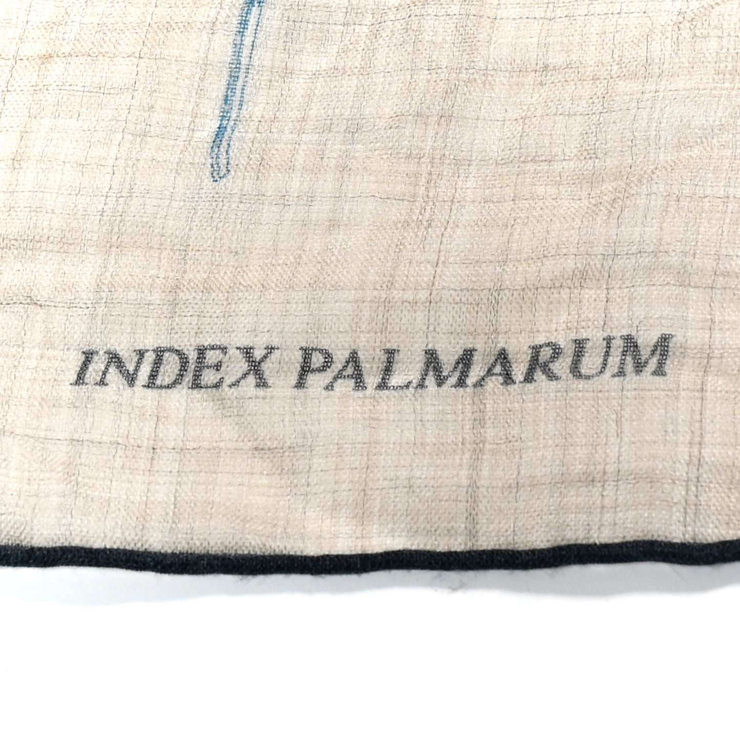 Cashmere Index Palmarum Finesse Scarf 90 White Bleu Kaki
