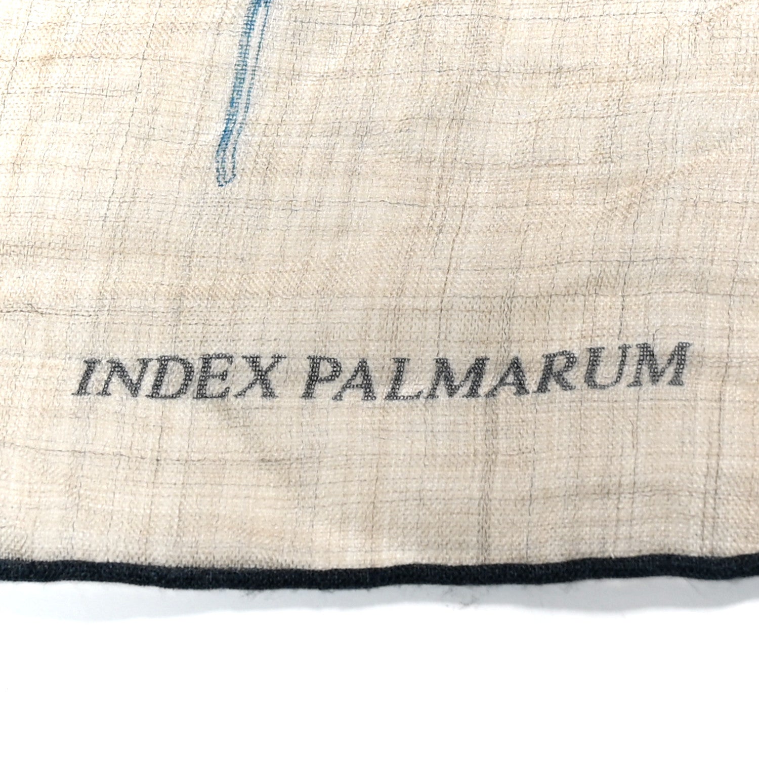 Hermes Cashmere Index Palmarum Finesse Scarf 90 White Bleu Kaki 5 of 6