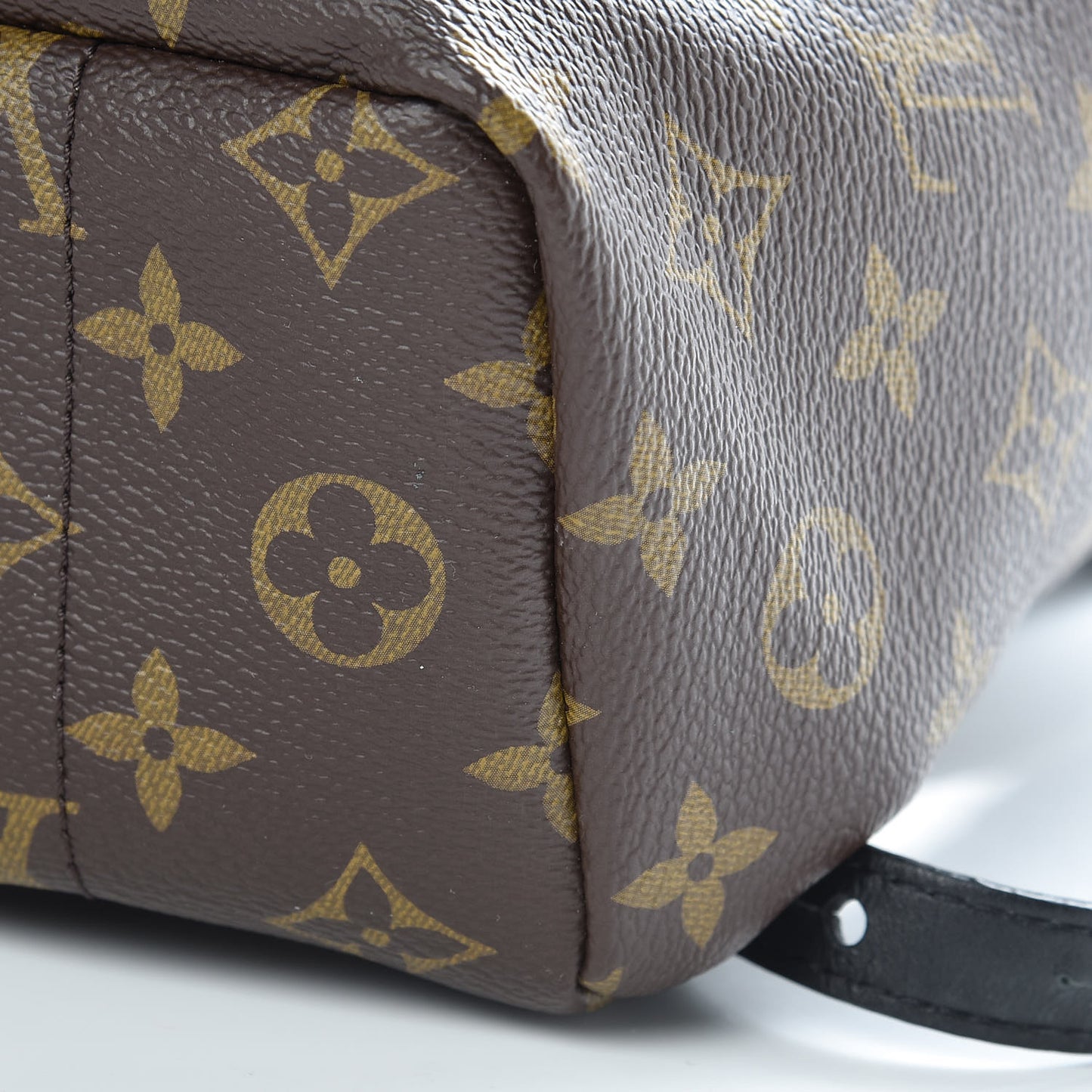 Monogram Palm Springs Backpack PM