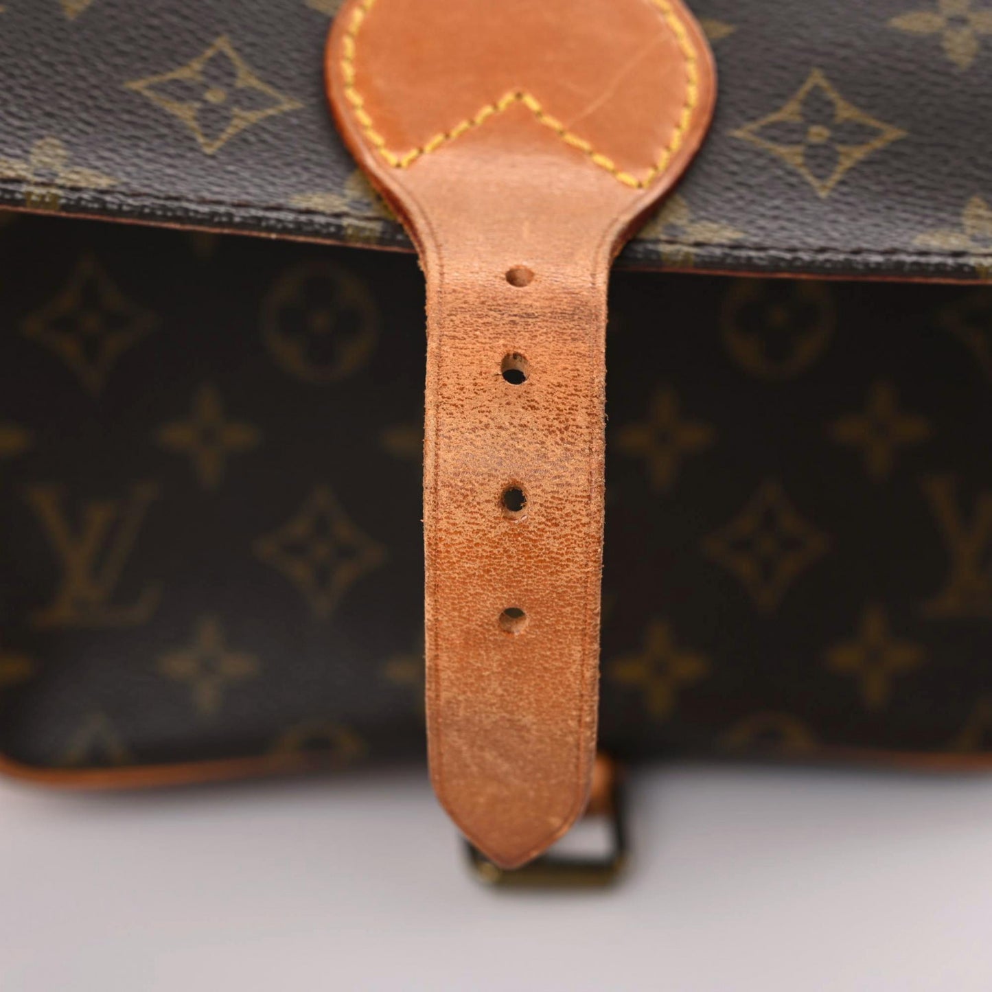 Monogram Cartouchiere 22