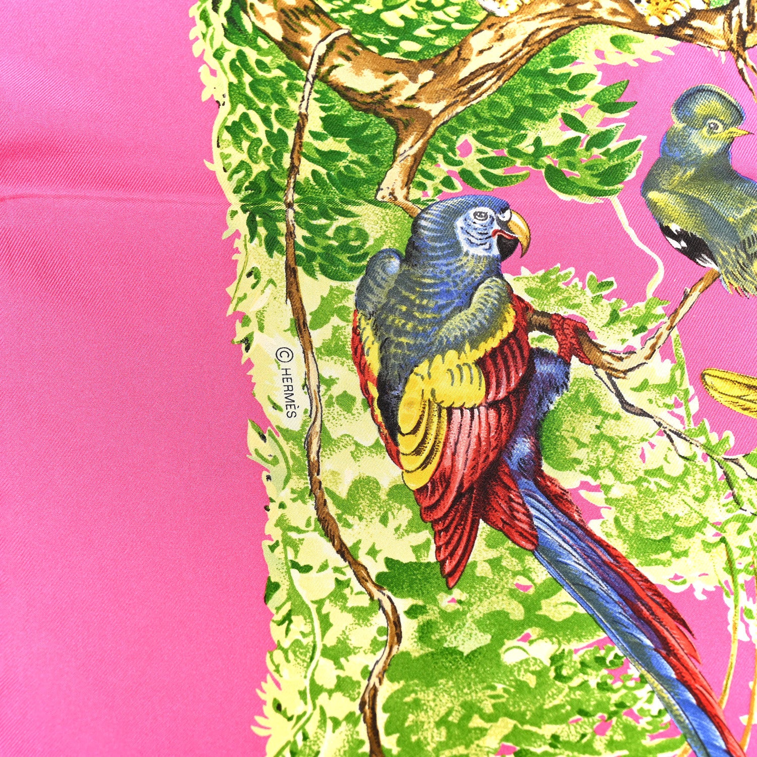 Hermes Silk Equateur Scarf 90 Rose Vif Vert Jaune 4 of 7