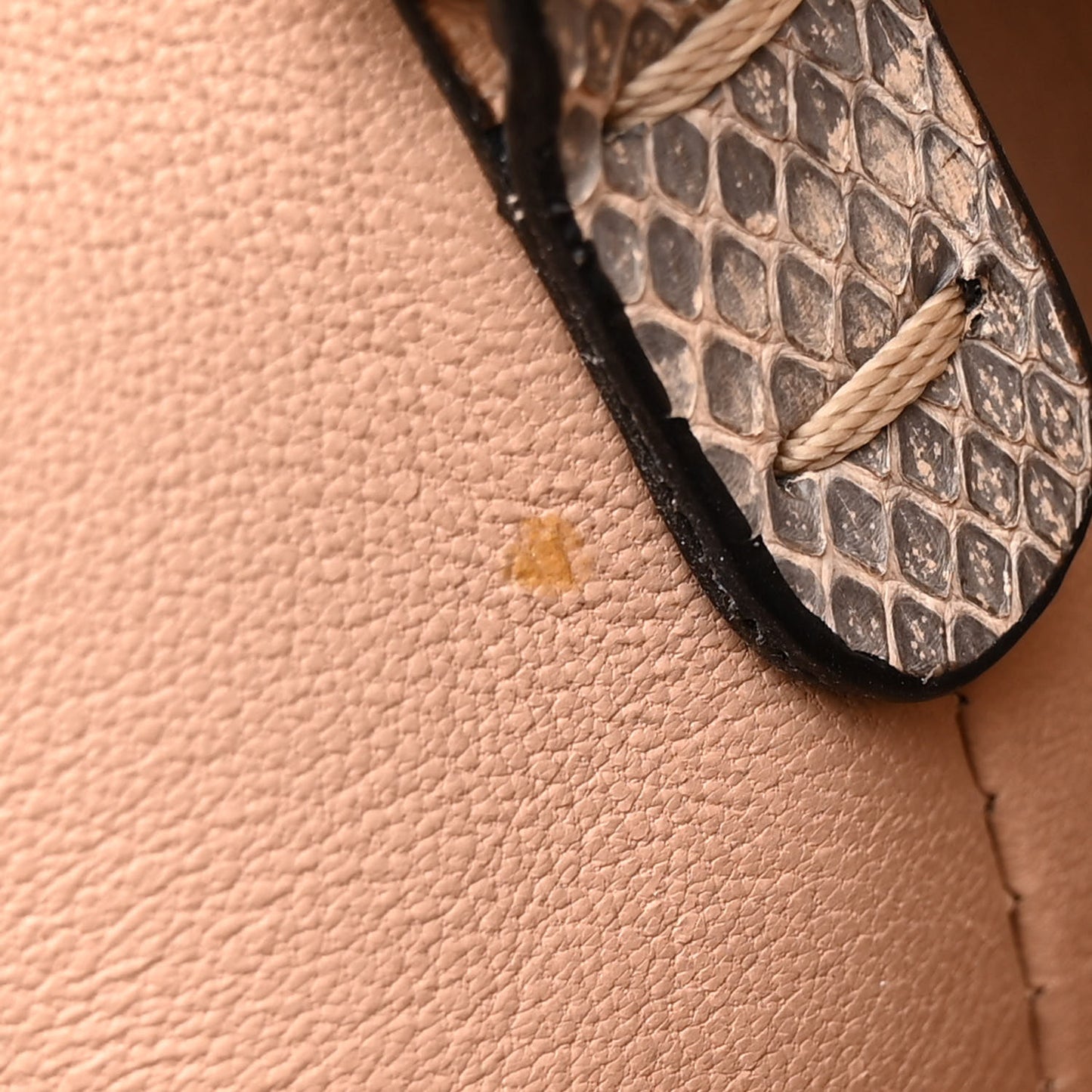 Snakeskin Small Demilune Double Handle Satchel Beige