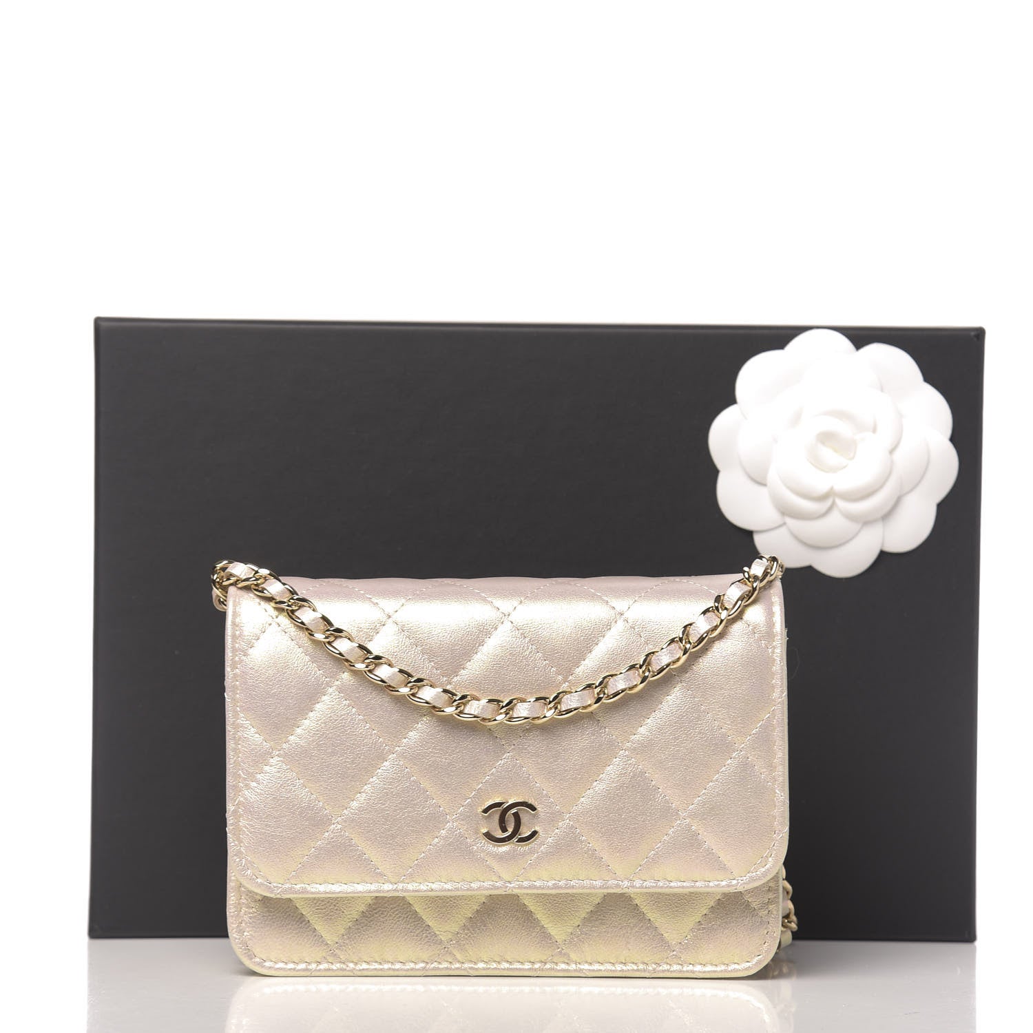 Chanel Iridescent Lambskin Quilted Mini Wallet On Chain WOC Ivory 12 of 12