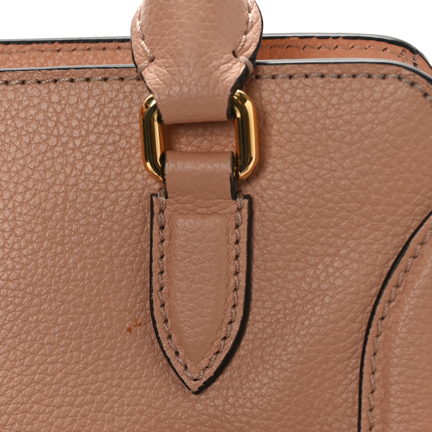 Pebbled Calfskin Mini Skull Padlock Zip Around Tote Boudoir