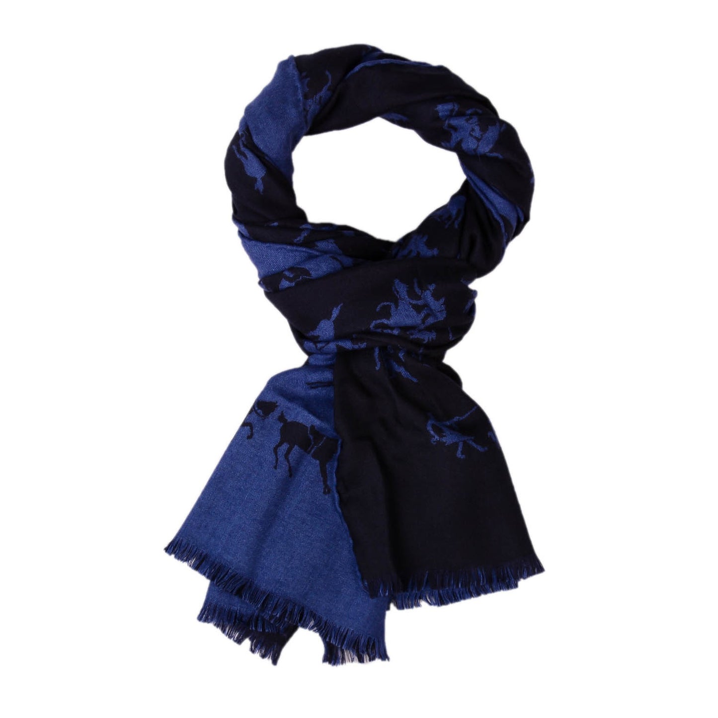 Cashmere Silk Fringe Stole