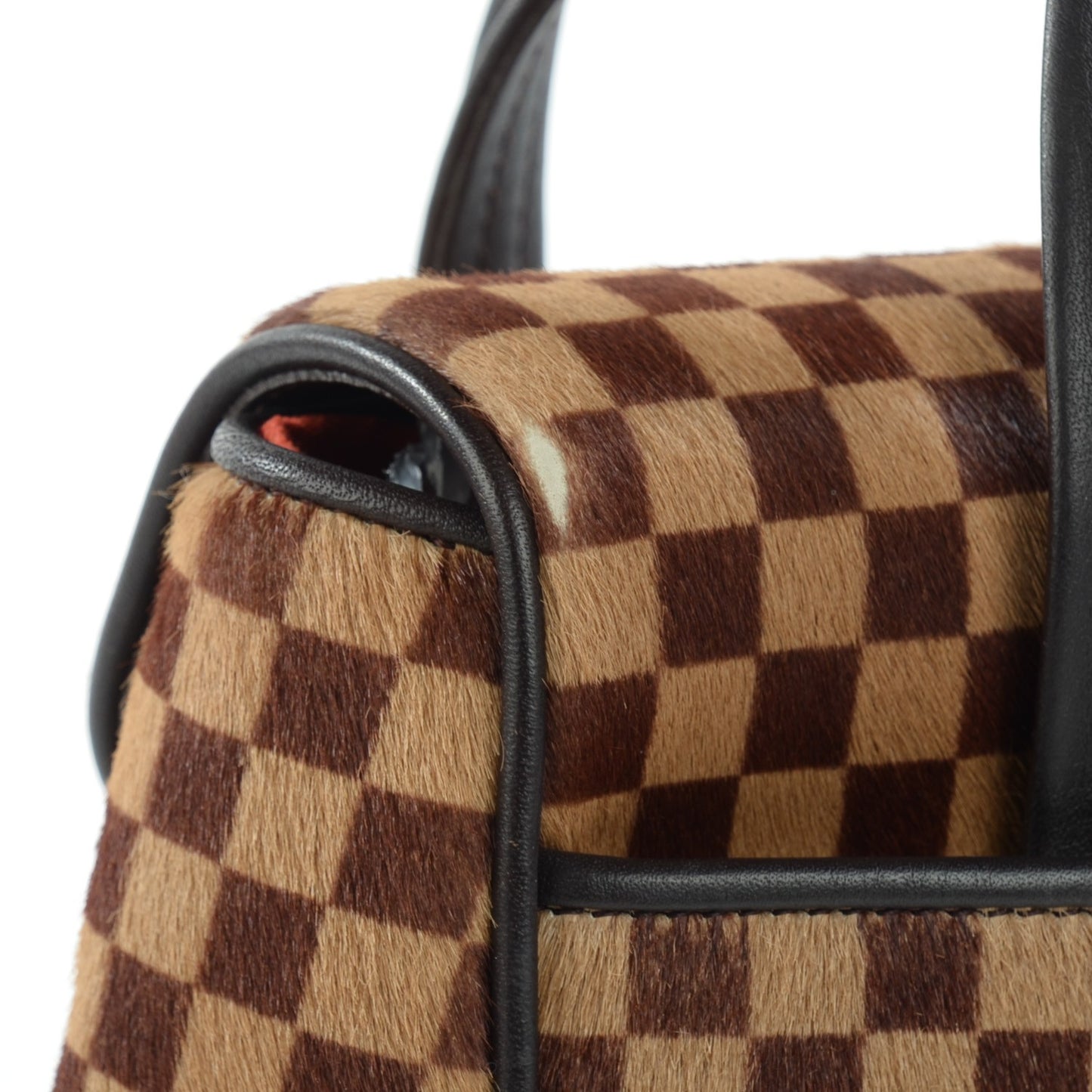 Damier Sauvage Lionne