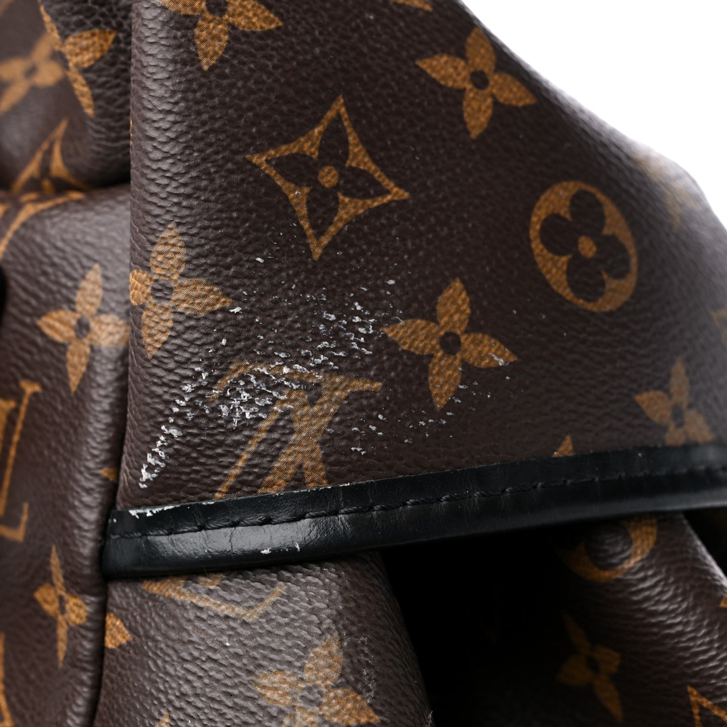 Monogram Macassar Zack Backpack