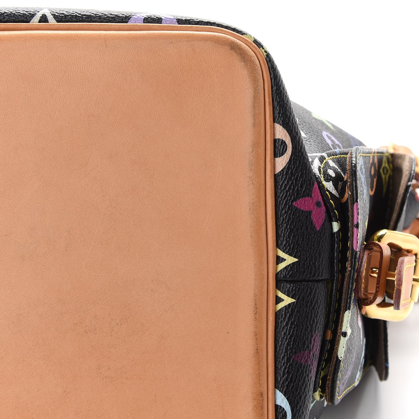 Monogram Multicolor Petit Noe Black
