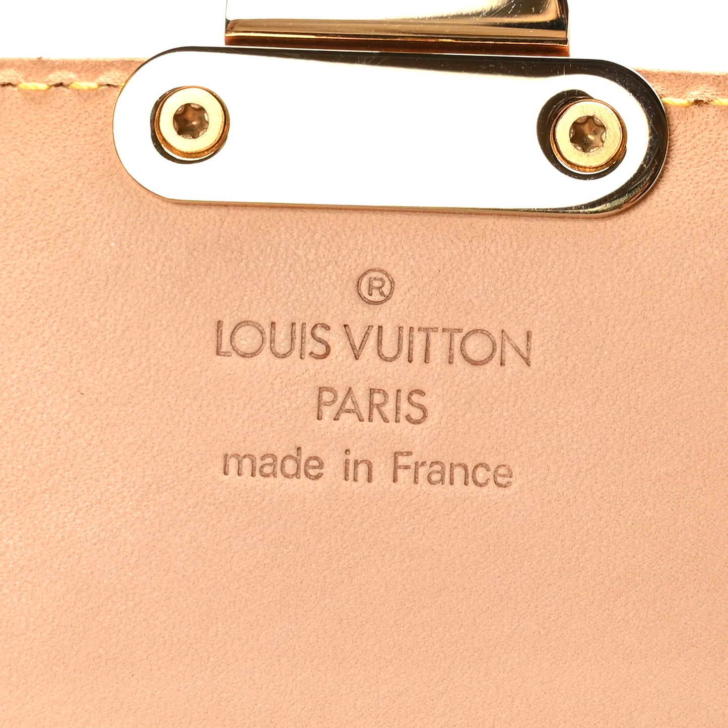 Monogram Multicolor Dalmatian Pochette