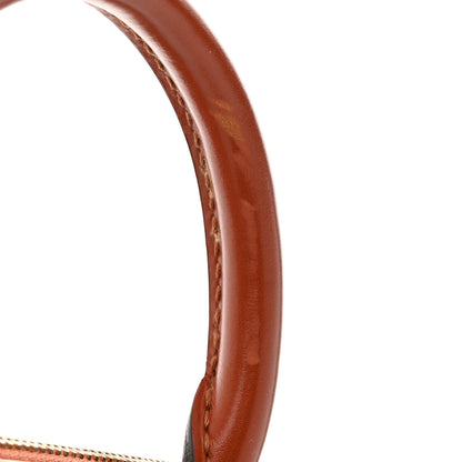 Louis Vuitton LOUIS VUITTON Epi Alma PM Kenyan Fawn 11 of 12